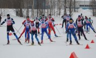 ЧиП Мурманской области