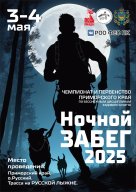 ЧиП Приморского края Ночной забег 2025 и физкультурное мероприятие по ездовому спорту
