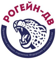 Ночной командный рогейн "Филин-8" Ночной командный рогейн "Филин-8"