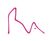 Malina o-race Malina o-race