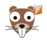 Открытые массовые соревнования "Реальные бобры" - 2025 Открытые массовые соревнования "Реальные бобры" - 2025