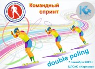 Командный спринт double poling