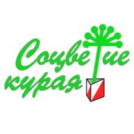 Соцветие Курая Соцветие Курая