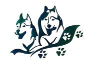 Областные соревнования Калининградской области по ездовому спорту