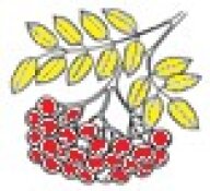 Областные соревнования "Уральская осень". Первенство СО. Дистанция-пешеходная-группа Областные соревнования "Уральская осень". Первенство СО. Дистанция-пешеходная-группа