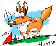 Чемпионат и Первенство Самарской области по радиоспорту Чемпионат и Первенство Самарской области по радиоспорту