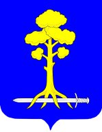 Чемпионат и Первенство МО Сертолово Чемпионат и Первенство МО Сертолово