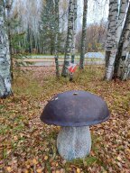 Региональные соревнования по спортивному ориентированию