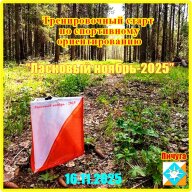 Тренировочный старт по спортивному ориентированию “Ласковый ноябрь - 2025"