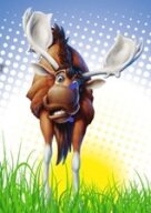 Велосипедная приключенческая гонка "Авантюр-2026"