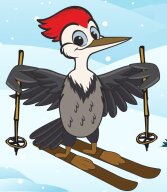 Фестиваль Зимние фонтаны 2026 Фестиваль Зимние фонтаны 2026