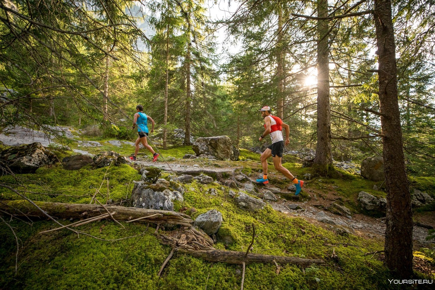 Трейл что это. Трейлраннинг Норвегия. Трейл раннинг. Бег в лесу. Trail Running Поляна.